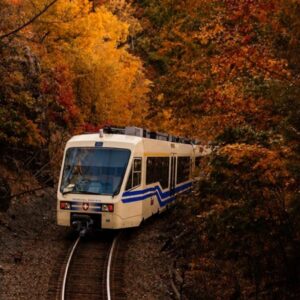 TRENO DEL FOLIAGE