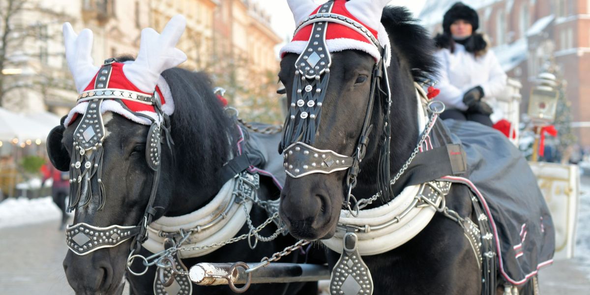 CRACOVIA E BRESLAVIA