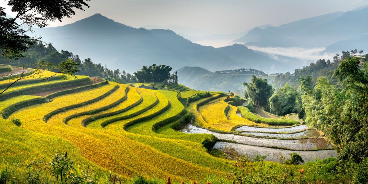 VIETNAM